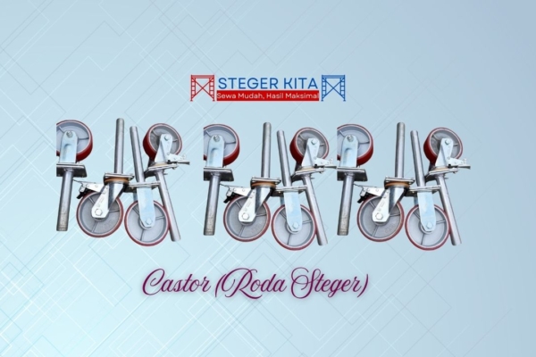 Castor (Roda Steger)